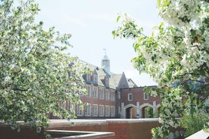 A brick building with many windows and a white cupola is partially framed by blooming white flowers on trees.