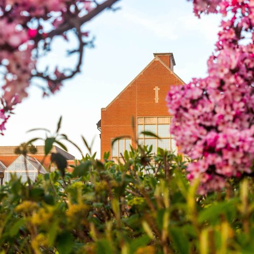 A brick building with large windows is framed by pink flowering tree branches and green foliage in the foreground.