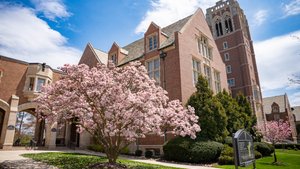 A blooming pink magnolia tree stands in front of a large brick building with a tall clock tower under a blue sky.