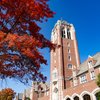 A tall brick tower stands near a large tree with vibrant red leaves on the JCU campus; blue sky.