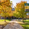 A student walks a sunny JCU campus path where bright yellow and orange autumn leaves fill the trees and blanket the ground.