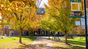 A student walks a sunny JCU campus path where bright yellow and orange autumn leaves fill the trees and blanket the ground.