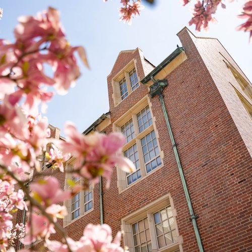 View of a brick campus building at John Carroll University framed by pink blossoms against a clear blue sky.