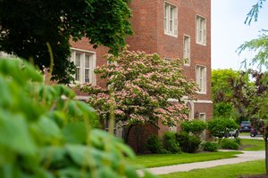View of a brick campus building at John Carroll University framed by green trees and a flowering pink dogwood tree.