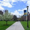 View of a concrete pathway framed by green lawns and blossoming trees leading to brick campus buildings at John Carroll.