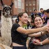 Two young women smile as they take a selfie with a llama on a John Carroll University campus lawn.