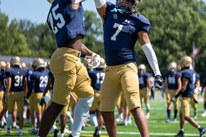 Two football players in gold helmets and navy jerseys jump to high-five on a green field under a clear sky.