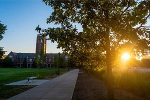 Golden sunlight streams through trees, illuminating the university's brick clock tower and a campus pathway.