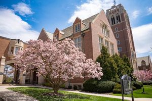 A large tree covered in pink blossoms stands in front of a tall brick building with a tower under a blue sky.