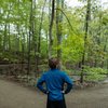 A person in a blue jacket stands with hands on hips facing a fork in a wooded trail surrounded by green trees.