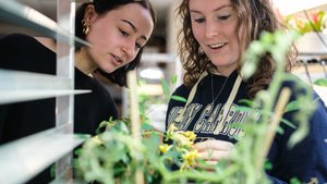Two young women closely examine green plants with yellow flowers indoors near metal shelves.