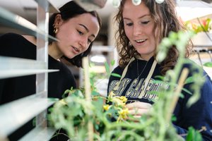 Two young women closely examine green plants with yellow flowers indoors near metal shelves.