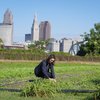 A person crouches tending plants in a green field with a city skyline and two other people working in the background.