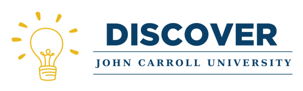 Horizontal logo of DISCOVER