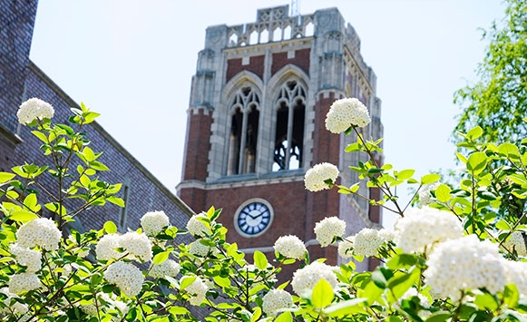 picture of the bell tower with white flowers