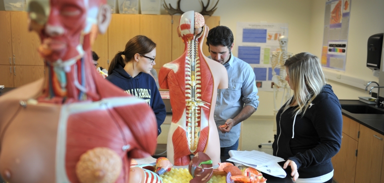 Faculty member working with two students in an anatomy class