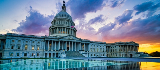 U.S. Capitol Building - Washington, D.C.